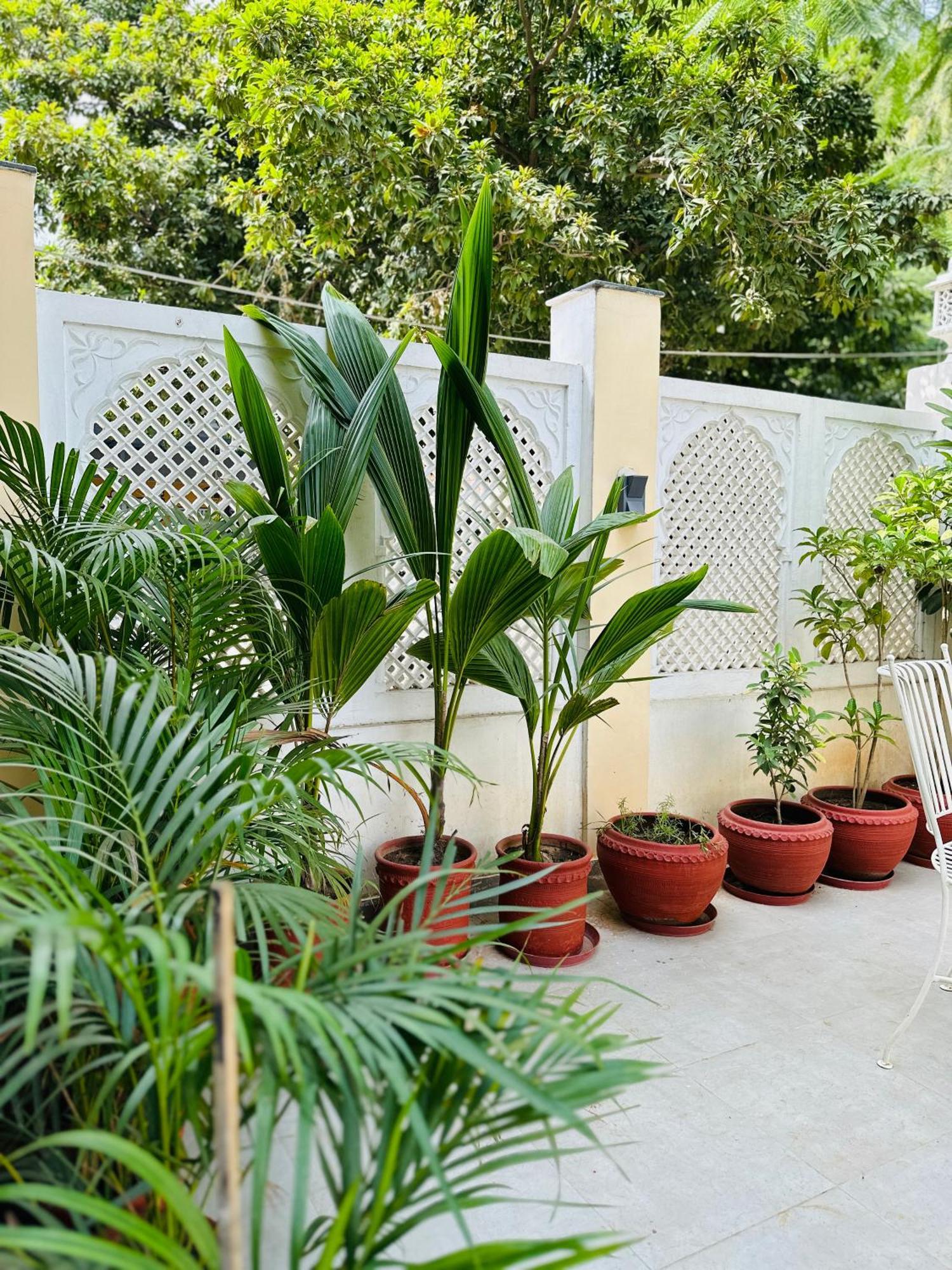 Anandmai - Sustainable Living Spaces Dźajpur Zewnętrze zdjęcie